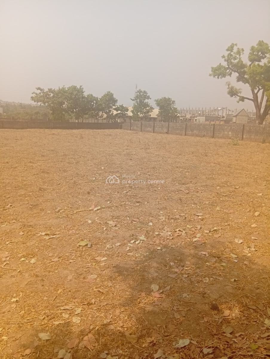 Residential 2000sqm, Jabi, Dakibiyu, Abuja, Residential Land for Sale