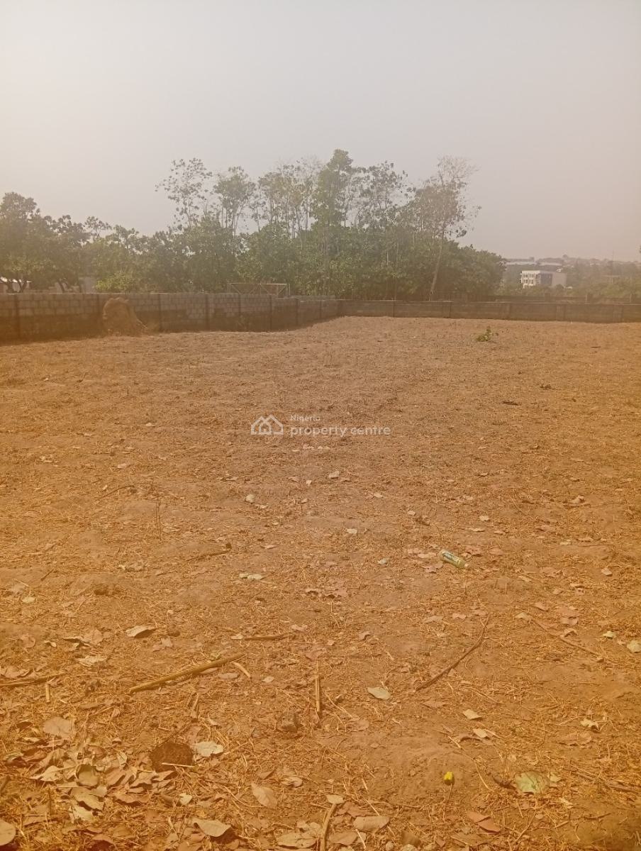 Residential 2000sqm, Jabi, Dakibiyu, Abuja, Residential Land for Sale