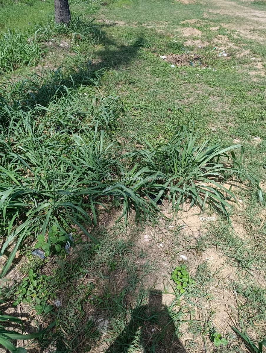 Direct Serviced Plots of Land, Phase 1, Osborne, Ikoyi, Lagos, Residential Land for Sale