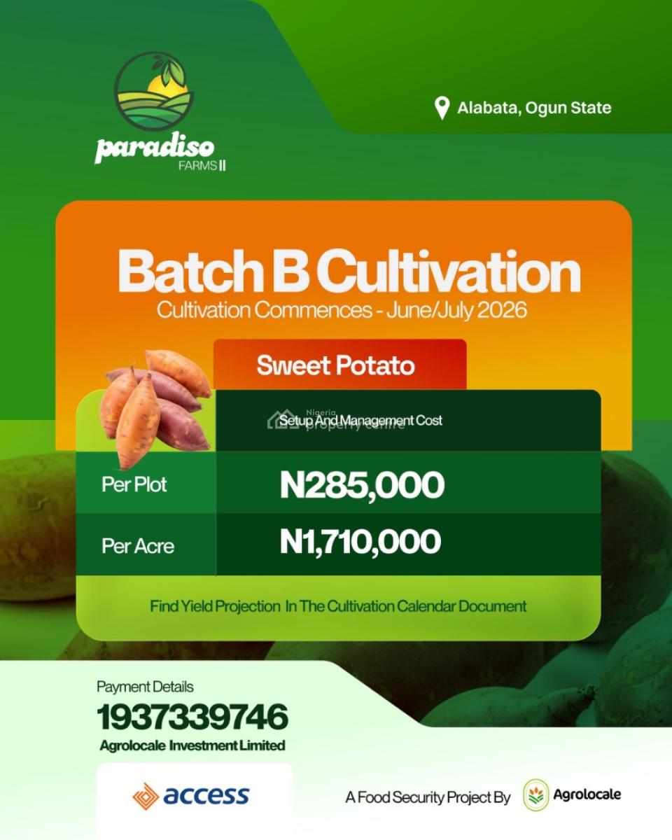 Paradiso Farm 2, Alabata, Odeda, Ogun, Mixed-use Land for Sale