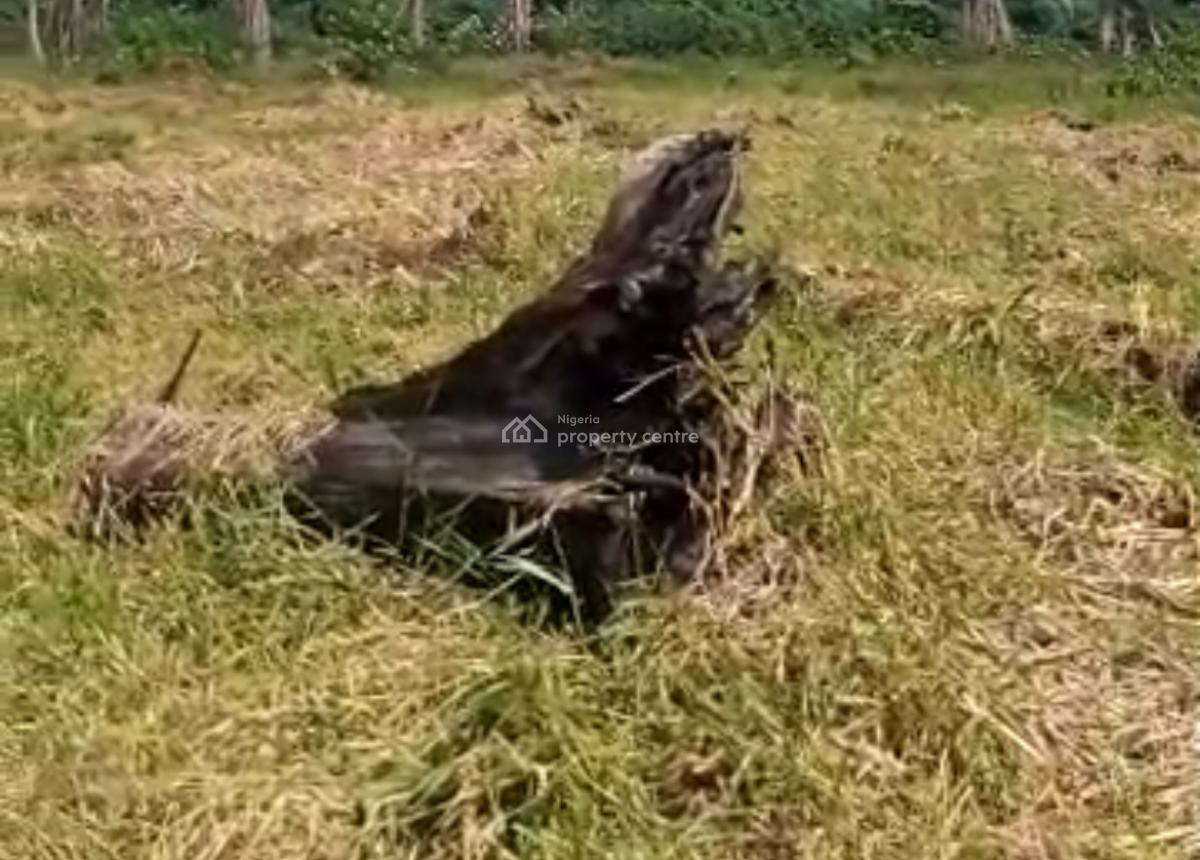 40 Acres Land, Abijo Gra, Lekki, Lagos, Land for Sale