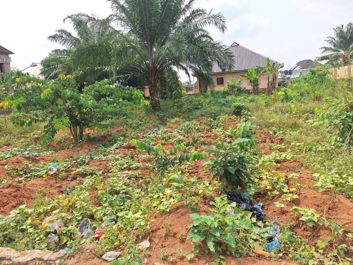100ft X 100ft Hot Land, Amagba Gra, Benin, Oredo, Edo, Residential Land for Sale