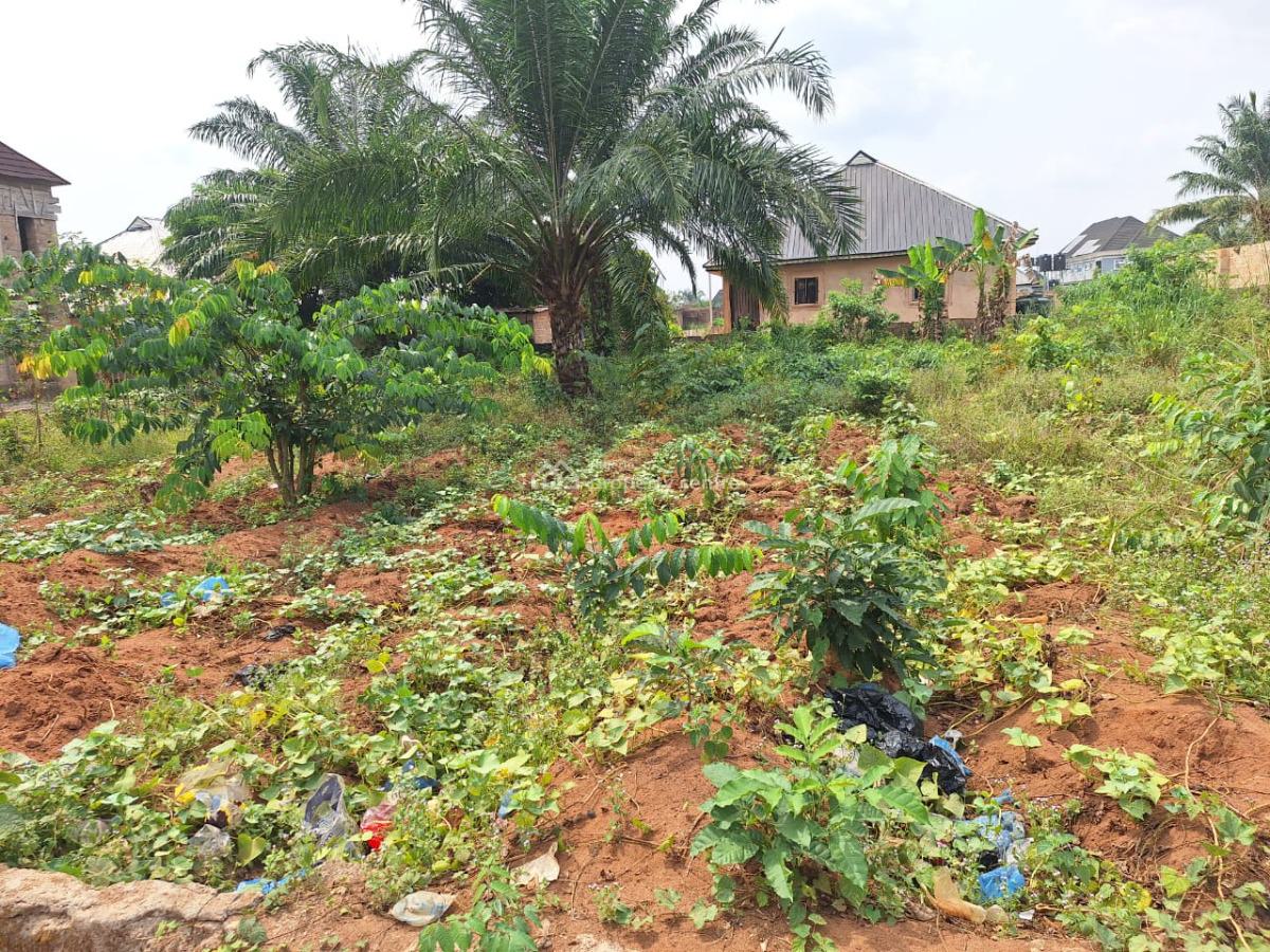 100ft X 100ft Hot Land, Amagba Gra, Benin, Oredo, Edo, Residential Land for Sale