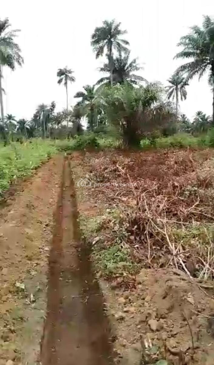 12½ Plots of Land, Omagwa, Port Harcourt, Rivers, Mixed-use Land for Sale