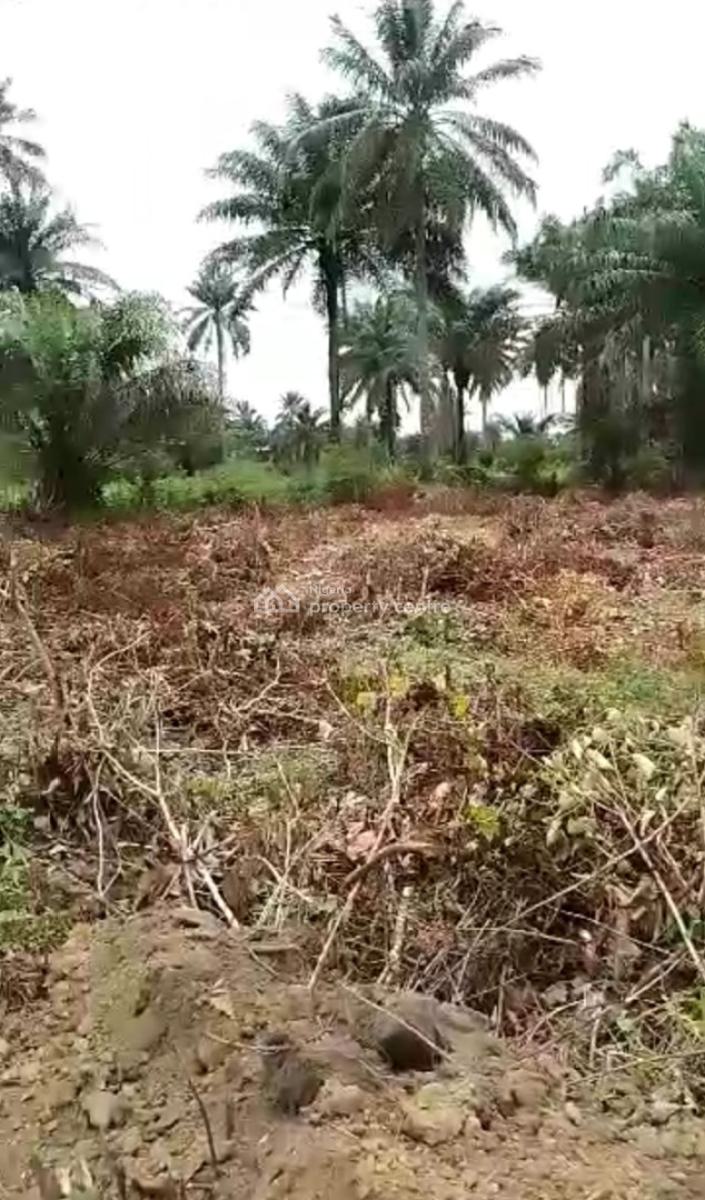 12½ Plots of Land, Omagwa, Port Harcourt, Rivers, Mixed-use Land for Sale
