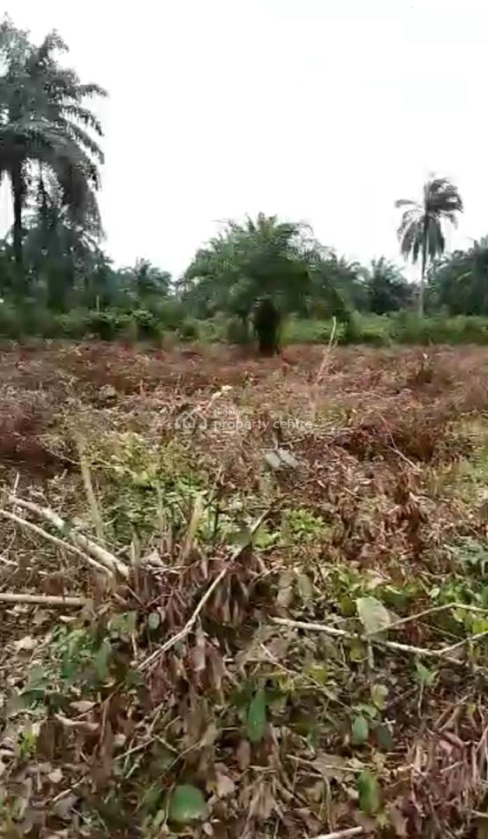 12½ Plots of Land, Omagwa, Port Harcourt, Rivers, Mixed-use Land for Sale