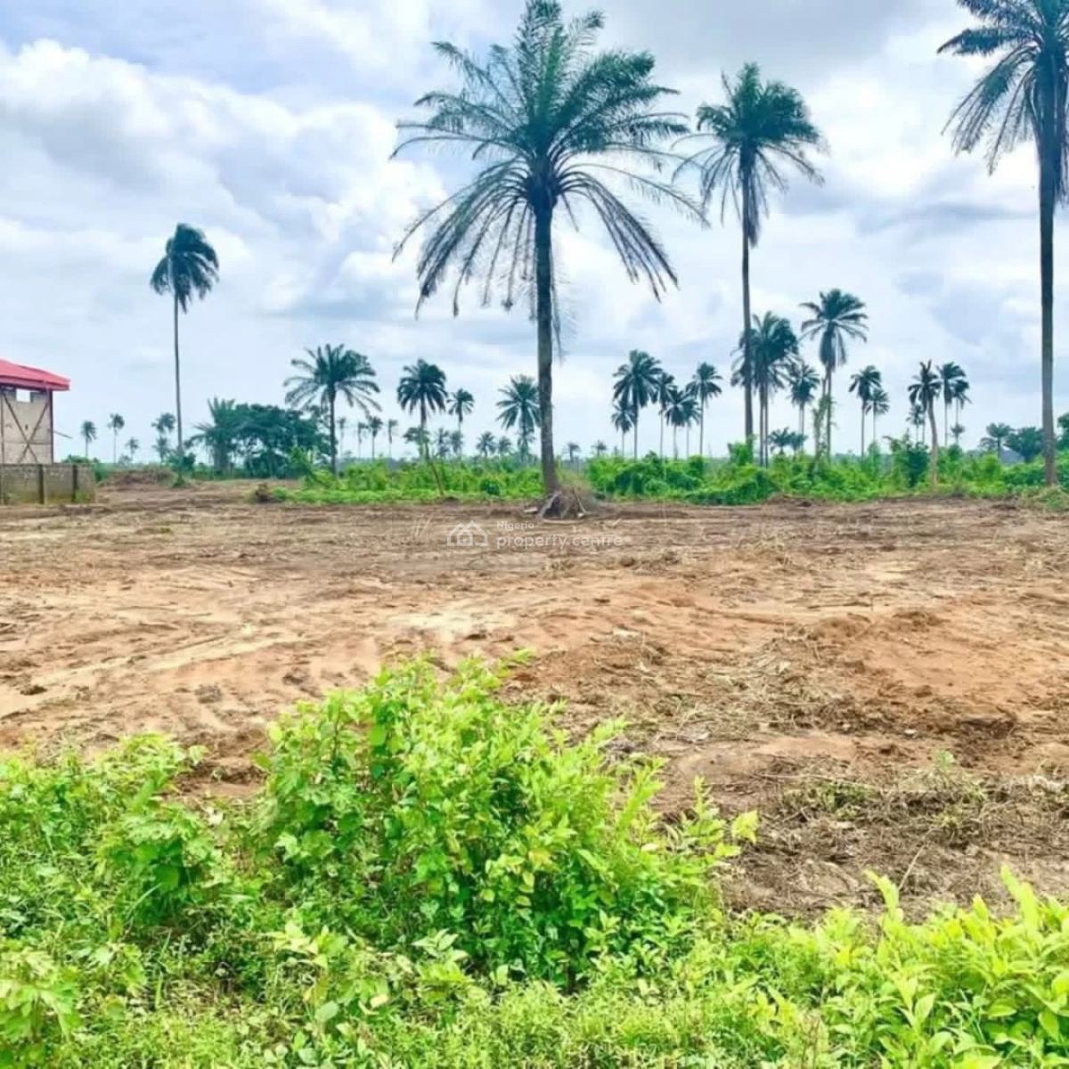 Plot of Land, New Town Garden Estate, Obirikwere Link Road, Rukpokwu, Port Harcourt, Rivers, Land for Sale