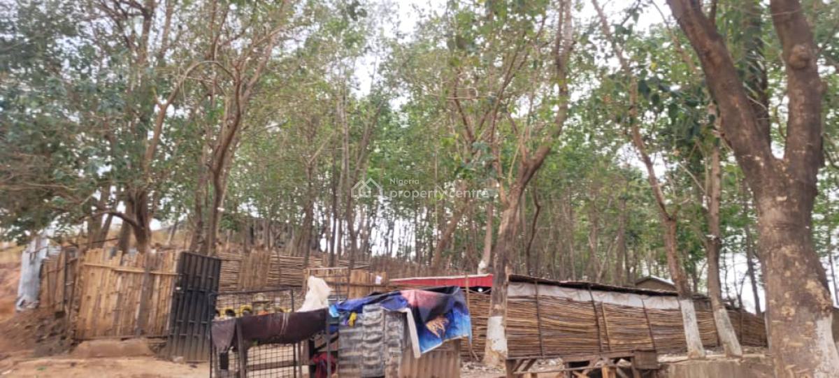 1.23 Hectares Great Land, Gudu District By Winner Chapel, Gudu, Abuja, Land for Sale