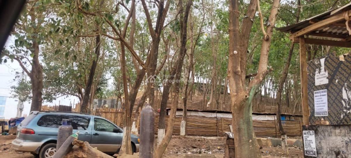 1.23 Hectares Great Land, Gudu District By Winner Chapel, Gudu, Abuja, Land for Sale
