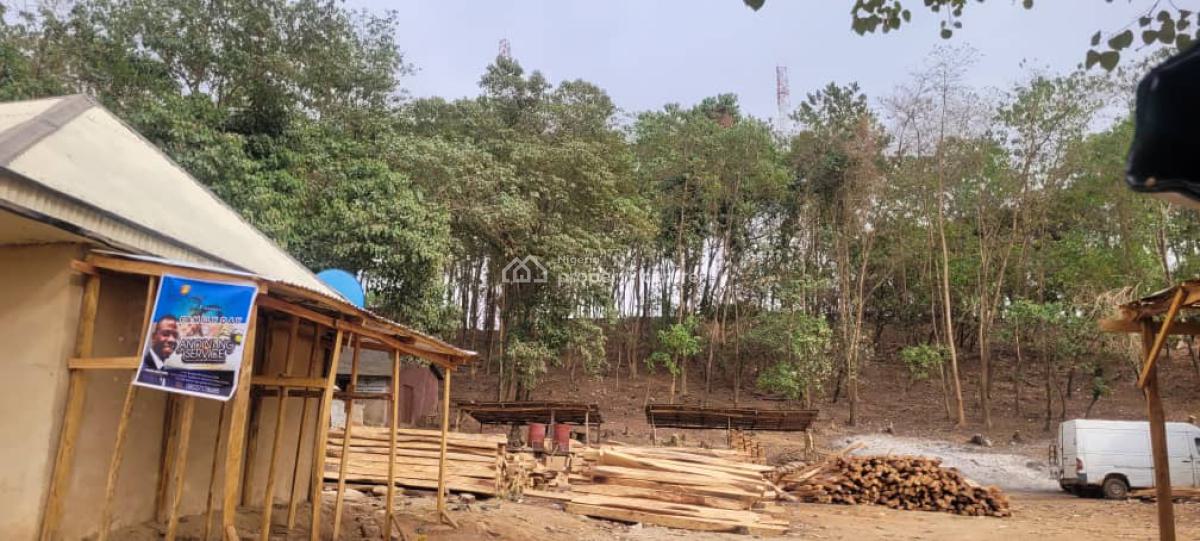 1.23 Hectares Great Land, Gudu District By Winner Chapel, Gudu, Abuja, Land for Sale