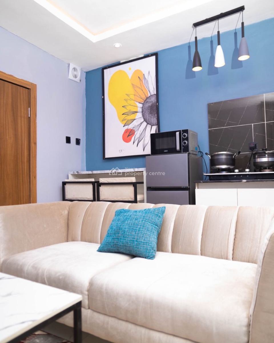 Carefully Finished 1 Bedroom Apartment, Surulere, Lagos, Mini Flat (room and Parlour) Short Let