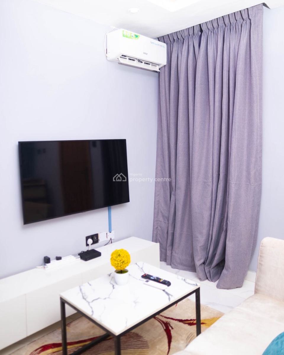 Carefully Finished 1 Bedroom Apartment, Surulere, Lagos, Mini Flat (room and Parlour) Short Let