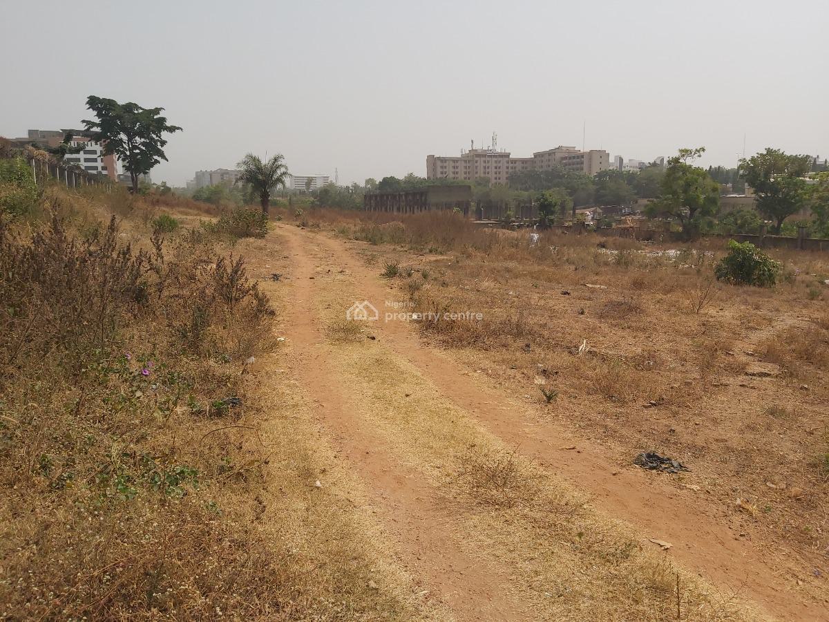 1.3 Hectares Garden, Central Business District, Abuja, Land for Sale