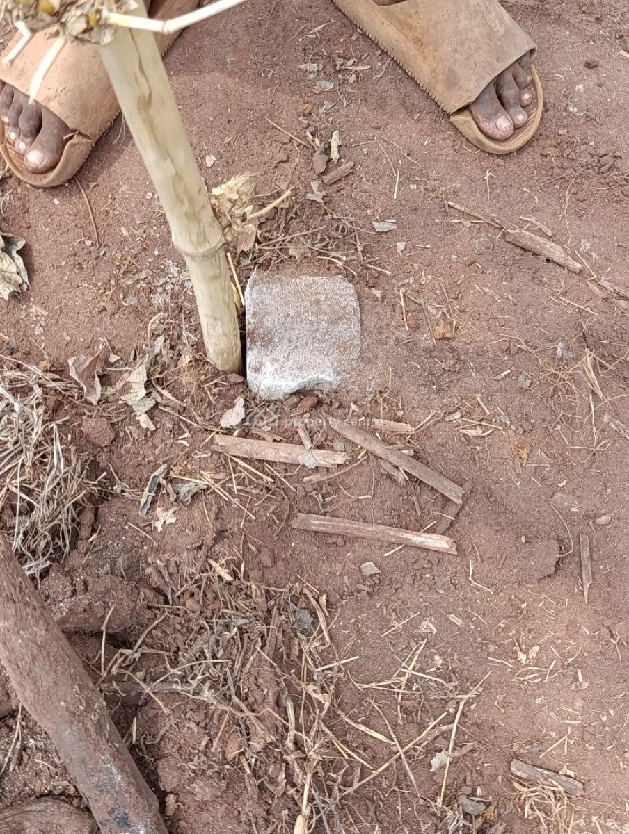 Buy and Build Estate Off Lagos Express, Physical Allocation in 24hours, Very Close to Airport, in a Developing Environment, Inspection Is Free, Asaba, Delta, Residential Land for Sale