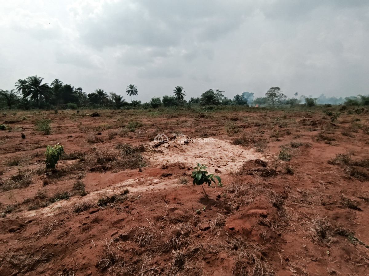Buy and Build Estate Off Lagos Express, Physical Allocation in 24hours, Very Close to Airport, in a Developing Environment, Inspection Is Free, Asaba, Delta, Residential Land for Sale