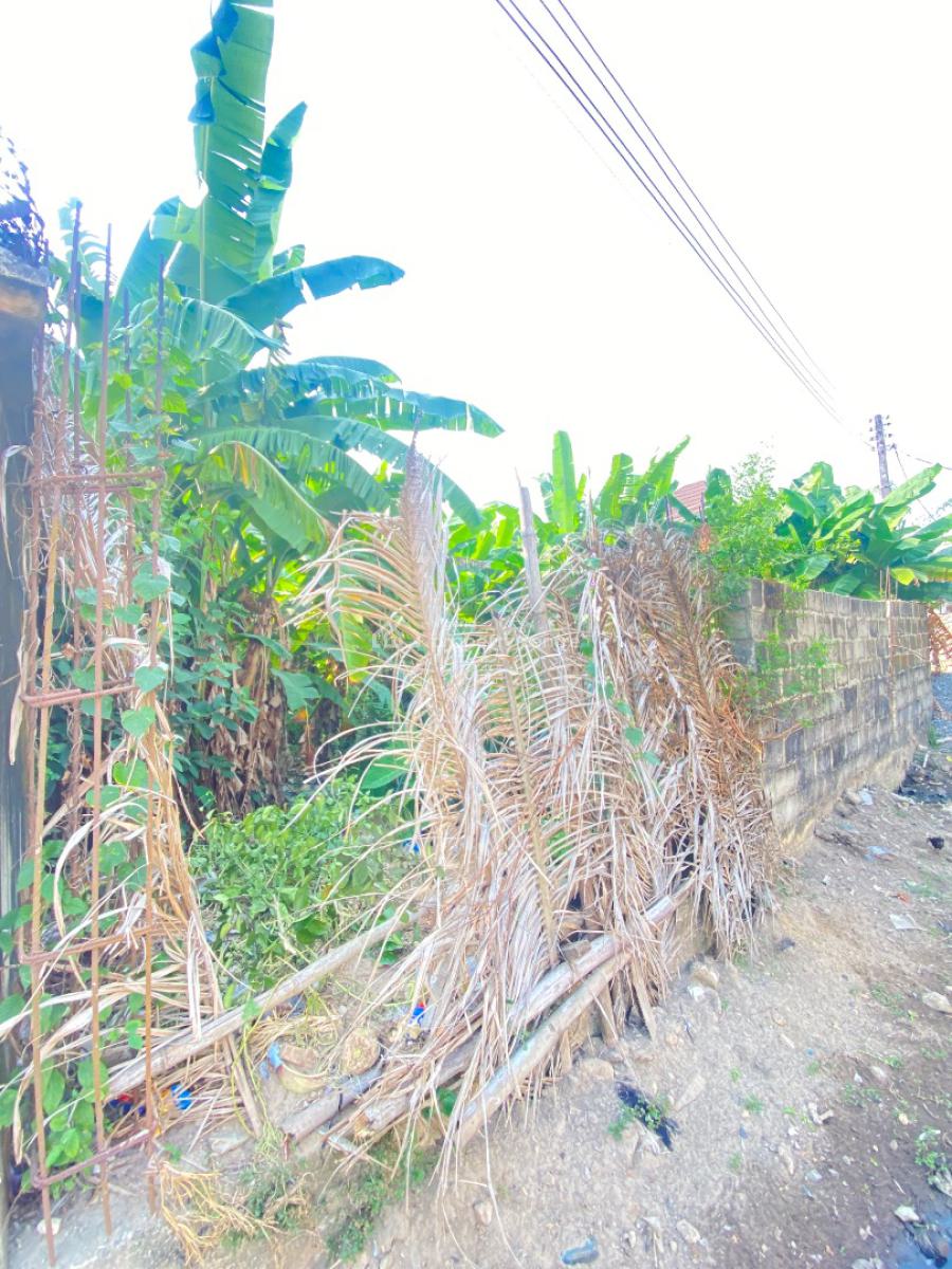 Half of Cornerpiece Land Measuring 300sqm, Goodnews Estate, Sangotedo, Ajah, Lagos, Residential Land for Sale