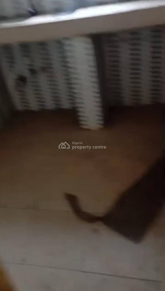 Lovely Sweet Mini Flat, Lawanson, Surulere, Lagos, Mini Flat (room and Parlour) for Rent