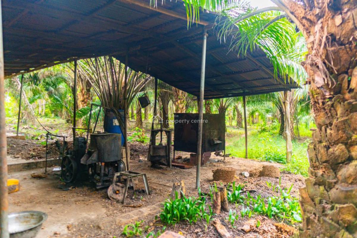 Oil Gold Farm Land, Odeda Local Government, Abeokuta North, Ogun, Commercial Land for Sale