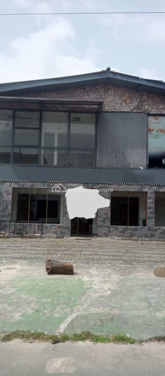 Spacious Standard 5 Bedroom Fully Detached Duplex, Victoria Island (vi), Lagos, Detached Duplex for Rent