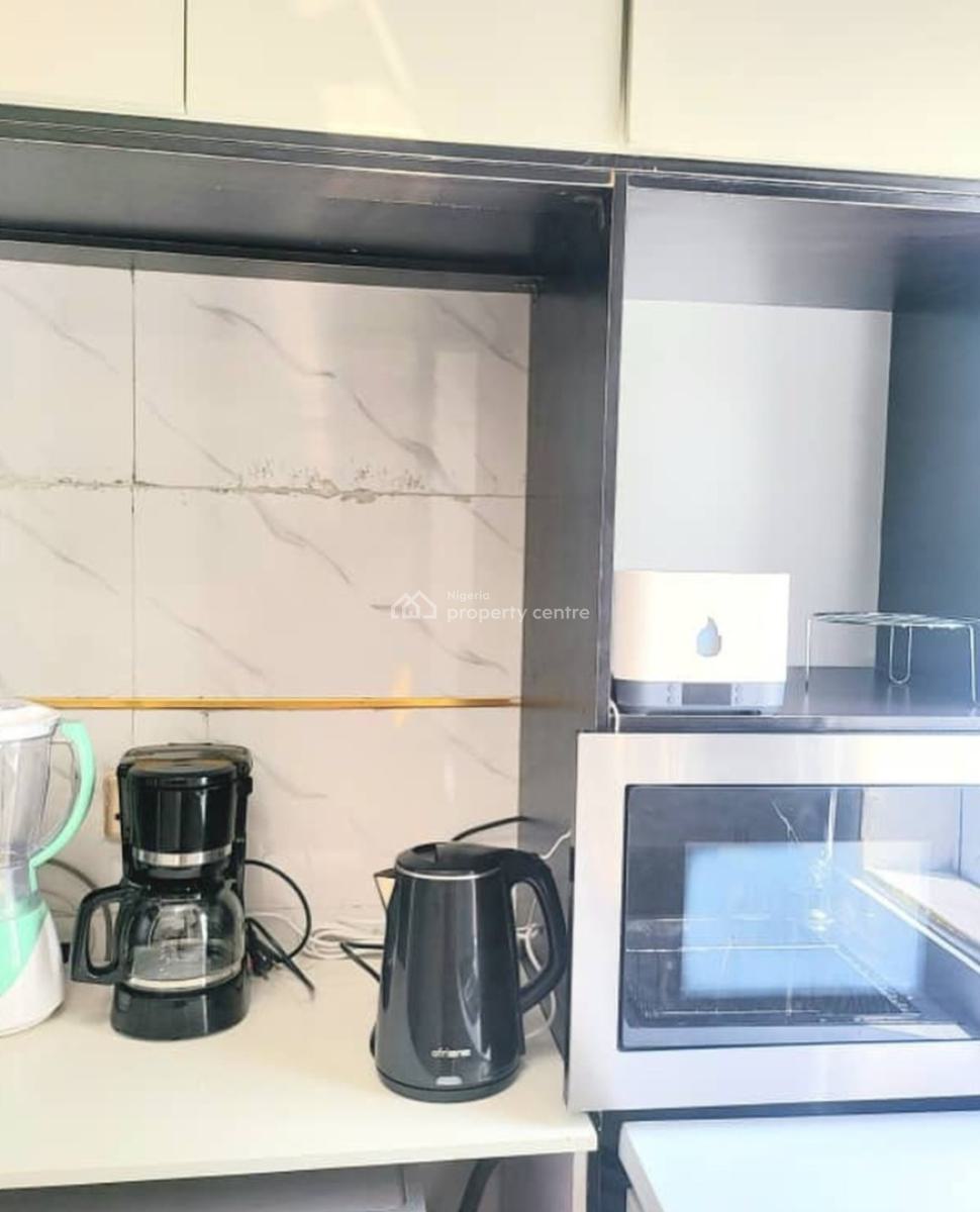 Furnished and Serviced 2 Bedroom En-suite Flat with Fully Fitted Kitch, Ikate, Lekki, Lagos, Flat / Apartment for Rent