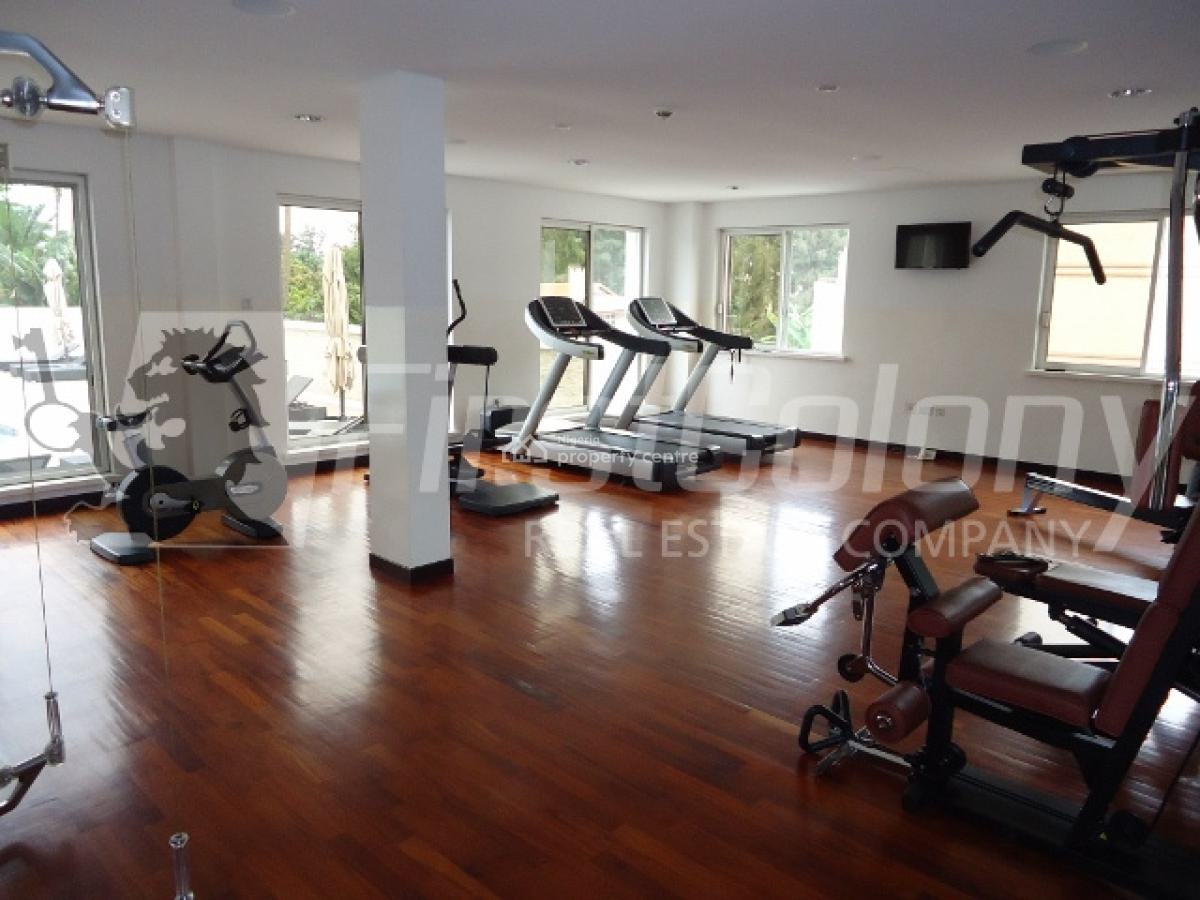 Luxury 2 Bedroom Apartment with State-of-the-art Facilities, Old Ikoyi, Ikoyi, Lagos, Flat / Apartment for Rent