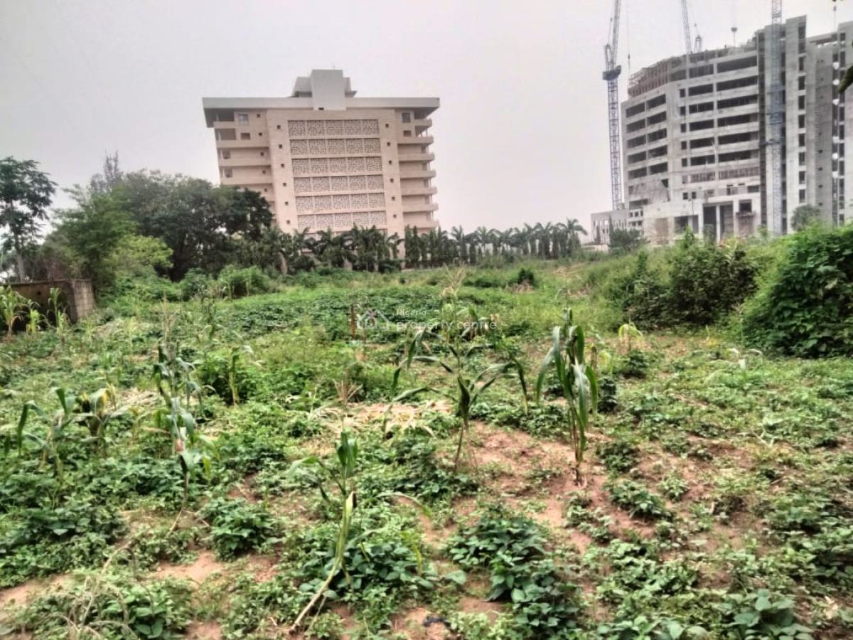 1.2 Hectares Commercial and Public Institution Land in Prime Location, Sharing Fence with Nta and Nuprc Headquarters, Central Business District, Abuja, Commercial Land for Sale