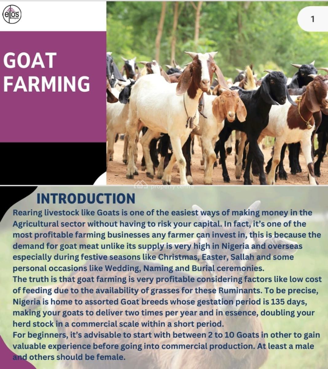 Animal/livestock Farming, Igbonla, Epe, Lagos, Land for Sale