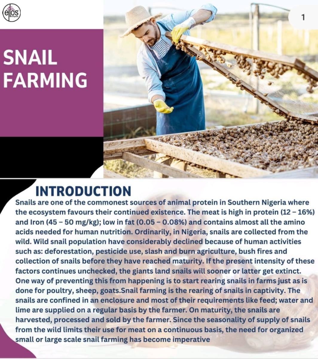 Animal/livestock Farming, Igbonla, Epe, Lagos, Land for Sale