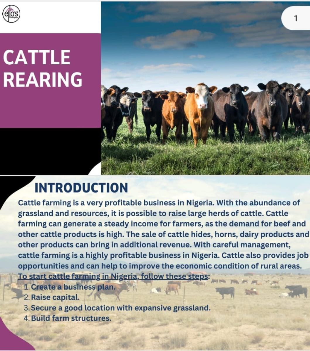 Animal/livestock Farming, Igbonla, Epe, Lagos, Land for Sale