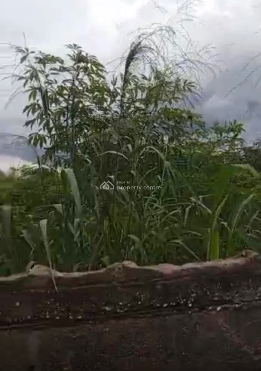 Residential Plot of Land, Umugwuma World Bank, Umuguma, Owerri Municipal, Imo, Residential Land for Sale