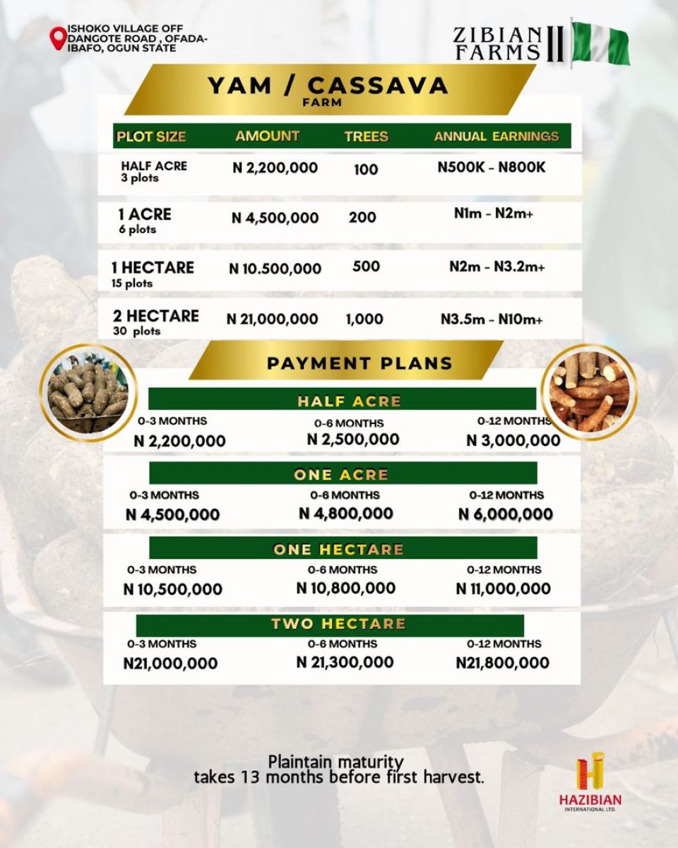 Cheap Farm Land, Ishoko Village Off Dangote Road, Ofada Ibafo, Sango Ota, Ogun, Mixed-use Land for Sale