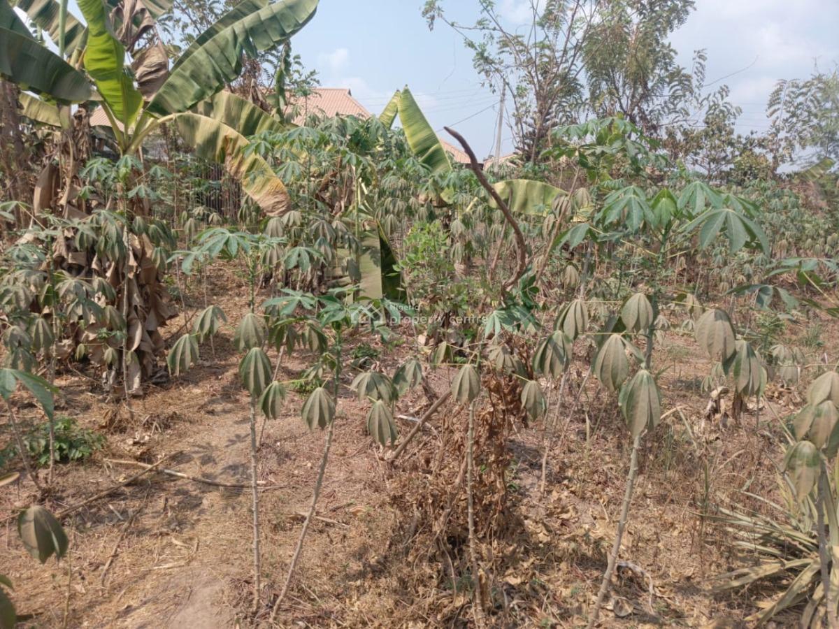 Parcel of Fenced and Gated Land, Just After Bendel Filling Station, Elebu, Ibadan, Oyo, Land for Sale
