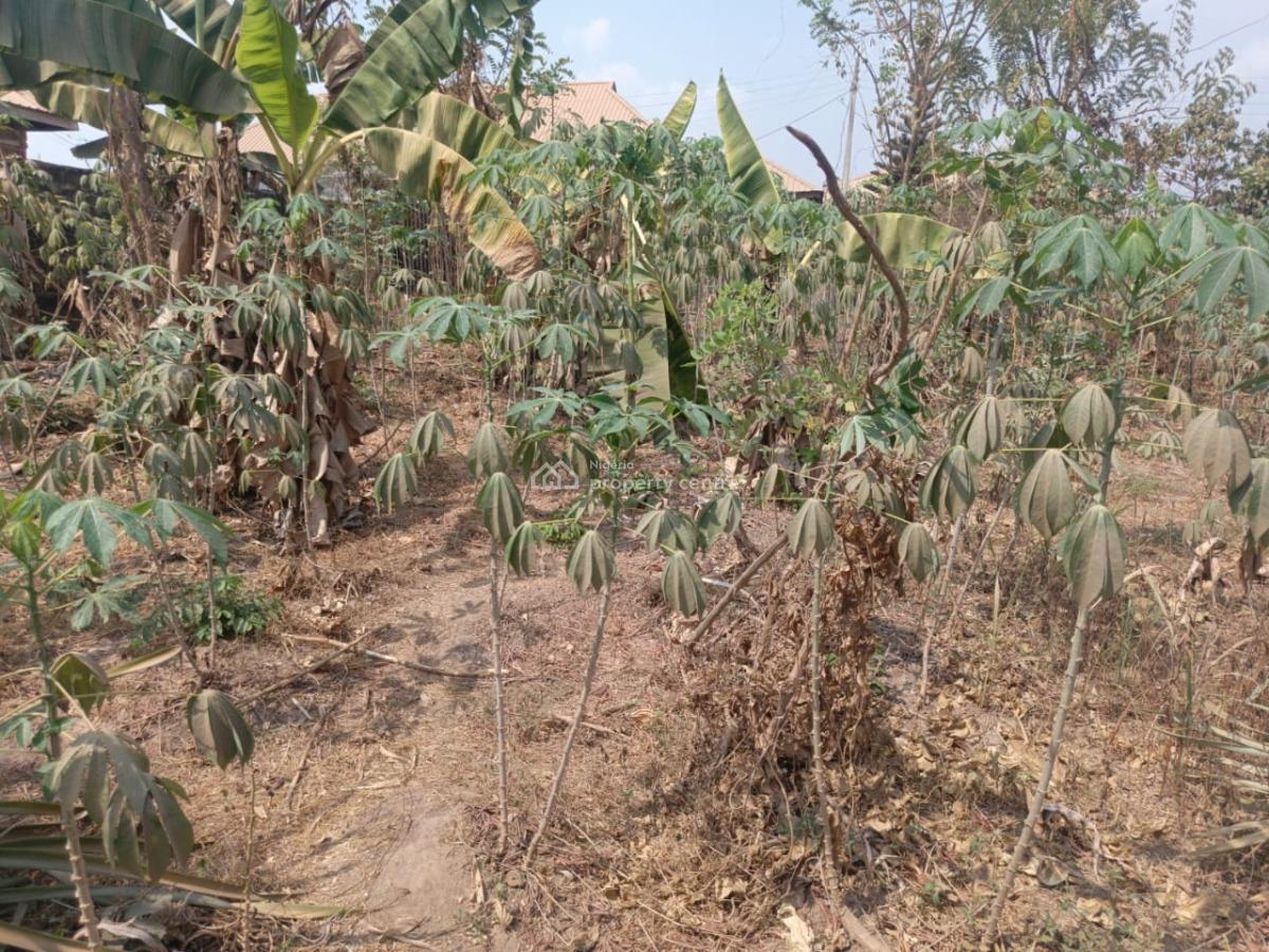 Parcel of Fenced and Gated Land, Just After Bendel Filling Station, Elebu, Ibadan, Oyo, Land for Sale