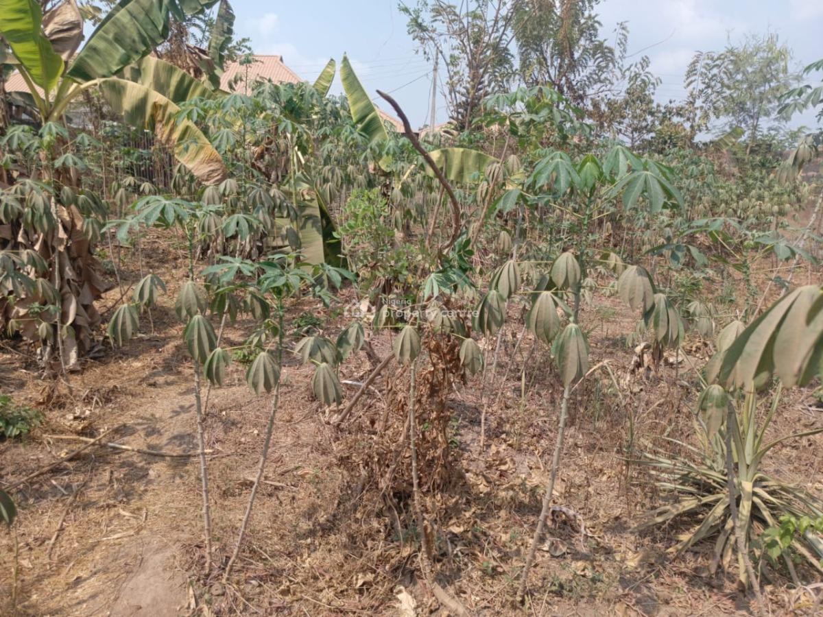 Parcel of Fenced and Gated Land, Just After Bendel Filling Station, Elebu, Ibadan, Oyo, Land for Sale