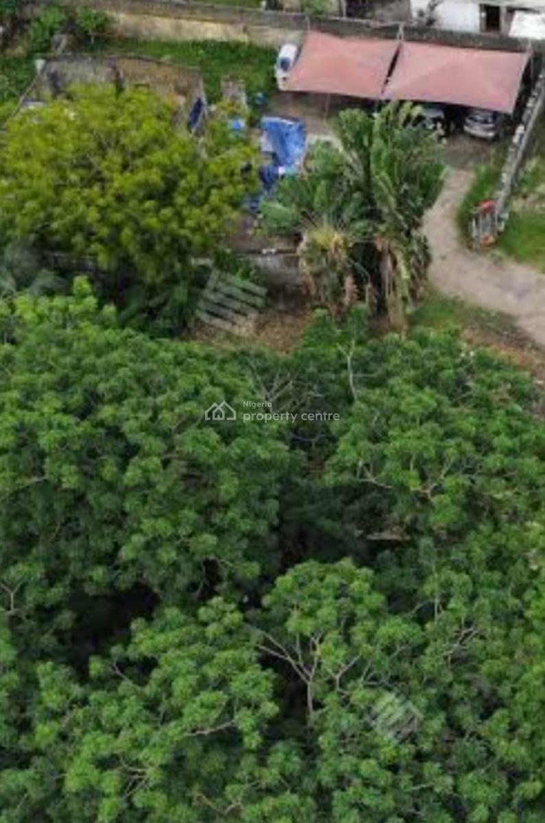 Closeable Joint Venture, Ademola Street South West Off Awolowo, Ikoyi, Lagos, Residential Land Joint Venture