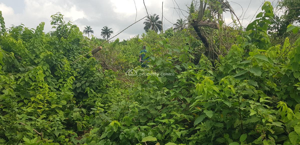 Commercial Land, Along Abeokuta Road, Siun, Obafemi Owode, Ogun, Factory for Sale