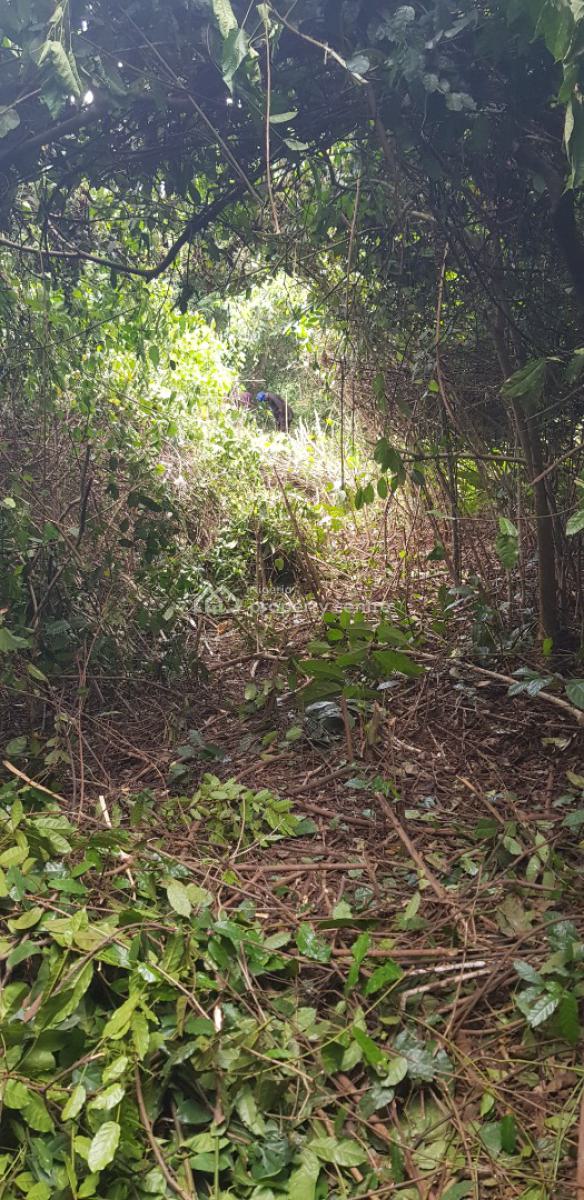 Commercial Land, Along Abeokuta Road, Siun, Obafemi Owode, Ogun, Factory for Sale