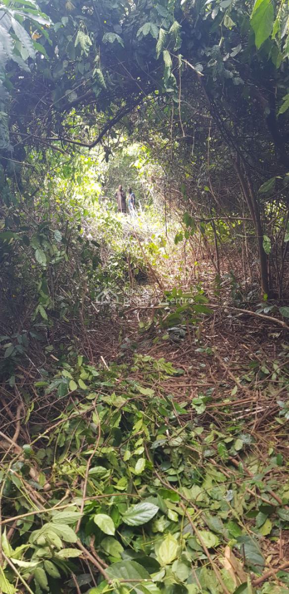 Commercial Land, Along Abeokuta Road, Siun, Obafemi Owode, Ogun, Factory for Sale