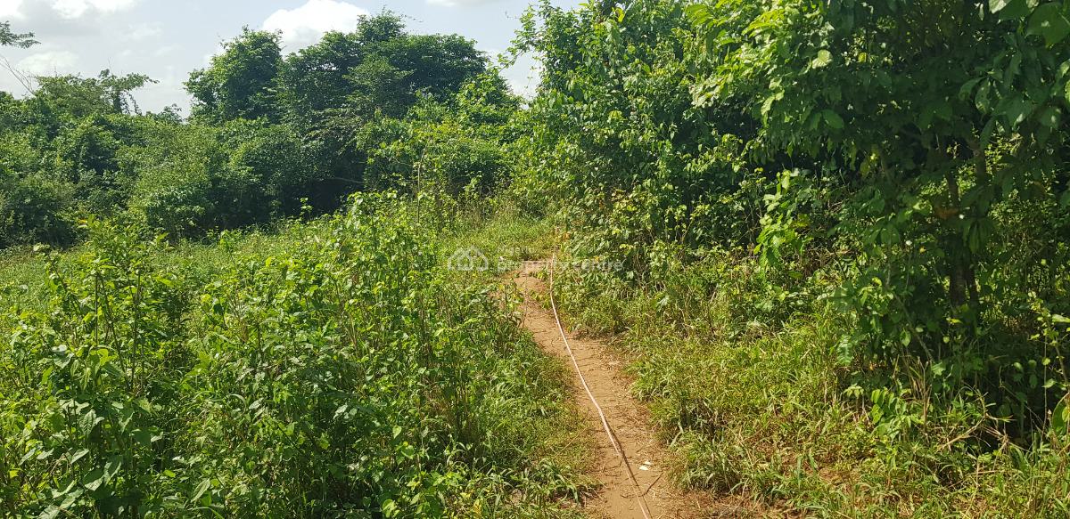 Commercial Land, Along Abeokuta Road, Siun, Obafemi Owode, Ogun, Factory for Sale