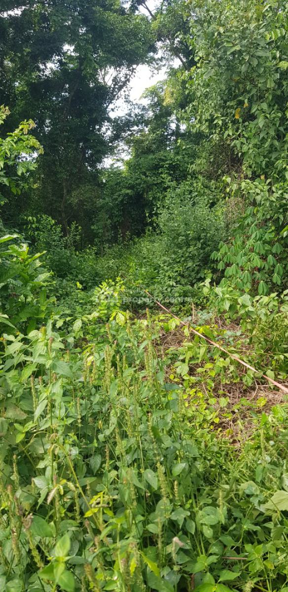 Commercial Land, Along Abeokuta Road, Siun, Obafemi Owode, Ogun, Factory for Sale