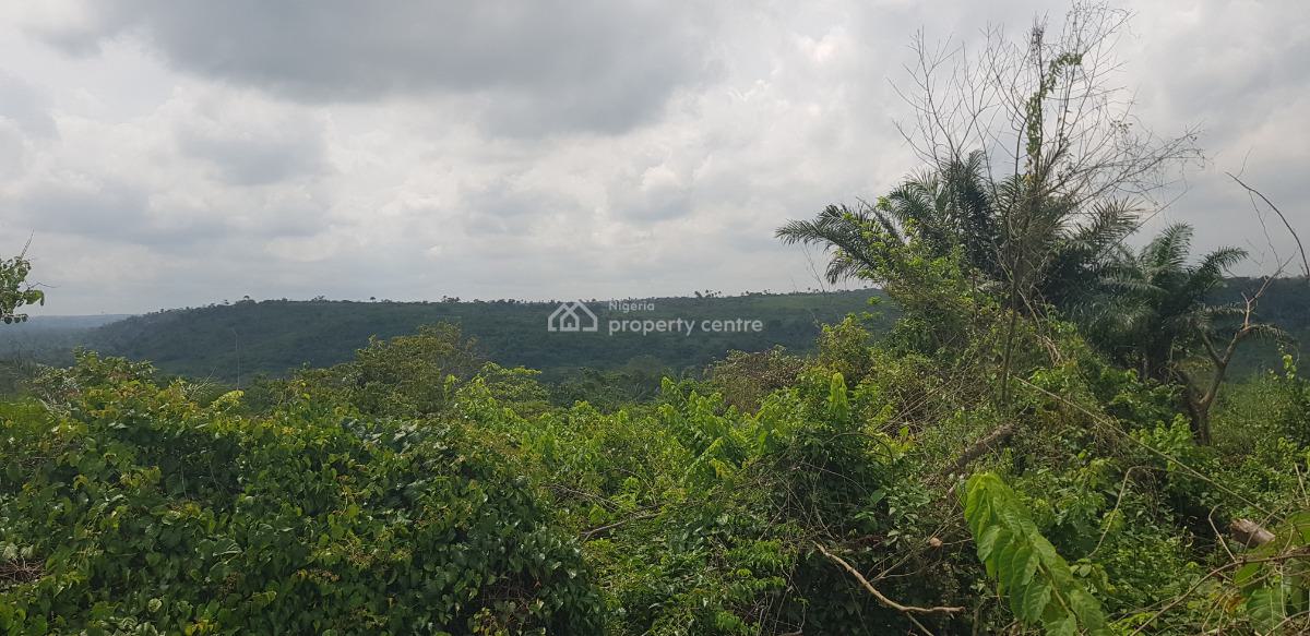 Commercial Land, Along Abeokuta Road, Siun, Obafemi Owode, Ogun, Factory for Sale