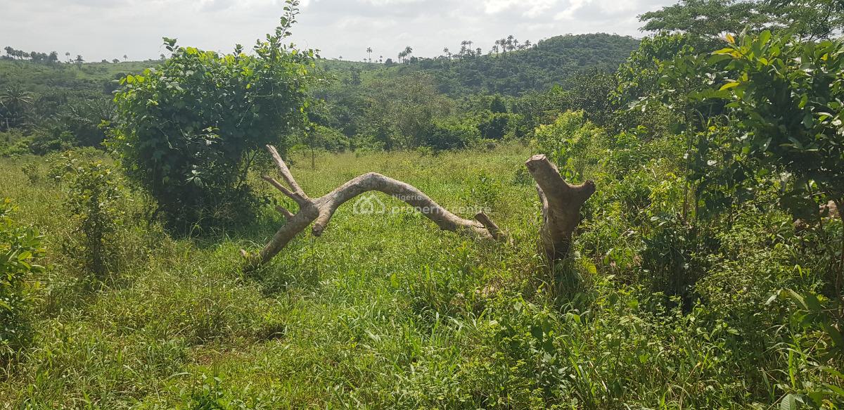 Commercial Land, Along Abeokuta Road, Siun, Obafemi Owode, Ogun, Factory for Sale