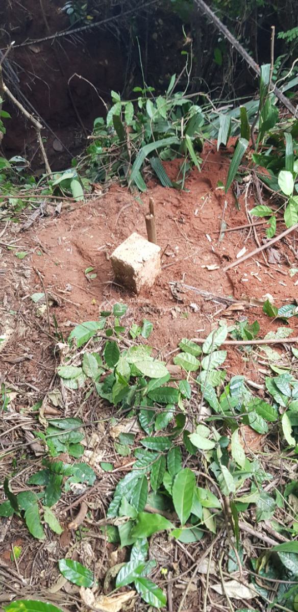 Commercial Land, Along Abeokuta Road, Siun, Obafemi Owode, Ogun, Factory for Sale