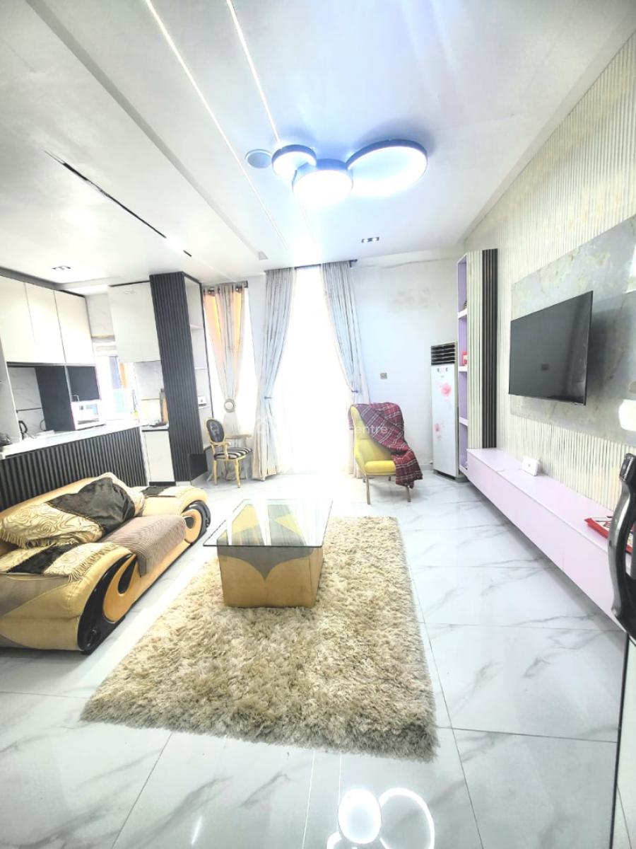 Exclusive Fully Serviced 2 Bedroom Apartment with Elevator and Pool, Ikate, Lekki, Lagos, Flat / Apartment for Rent