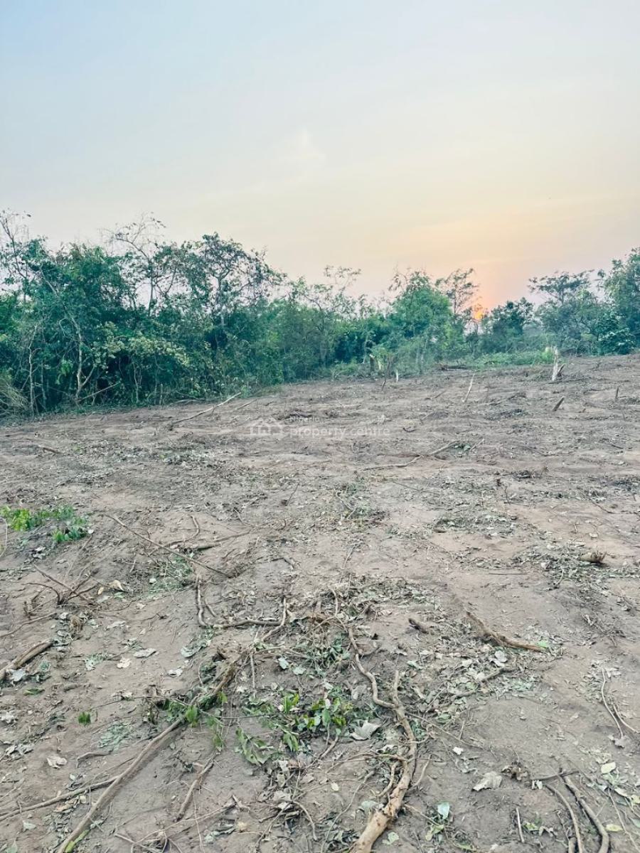 Affordable Fertile Farmland with Strong Investment Potential, Close to Federal University of Agriculture, Abeokuta North, Ogun, Mixed-use Land for Sale