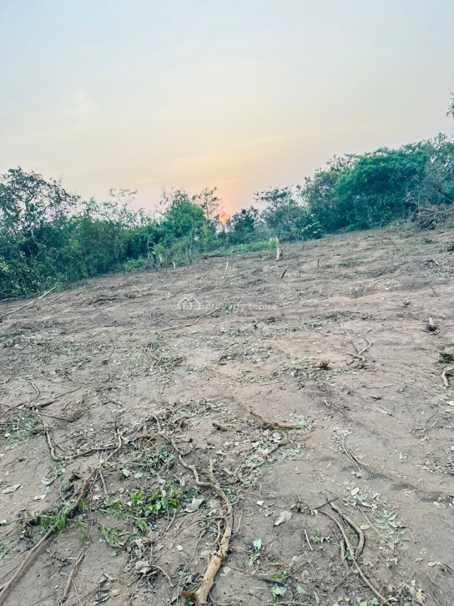 Affordable Fertile Farmland with Strong Investment Potential, Close to Federal University of Agriculture, Abeokuta North, Ogun, Mixed-use Land for Sale