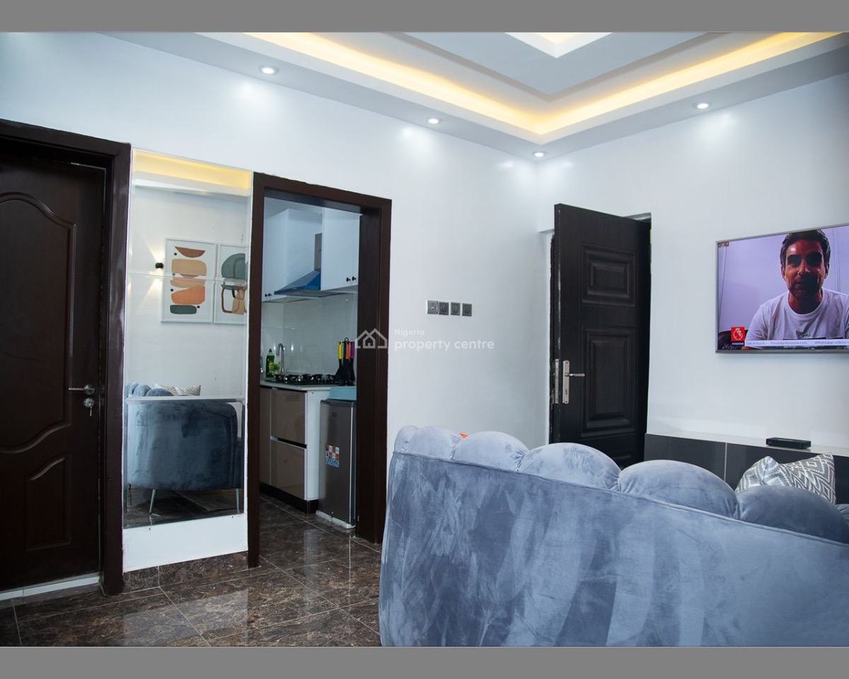 Cozy 1 - Bedroom Apartment, Off Freedom Way, Lekki Phase 1, Lekki, Lagos, Mini Flat (room and Parlour) Short Let