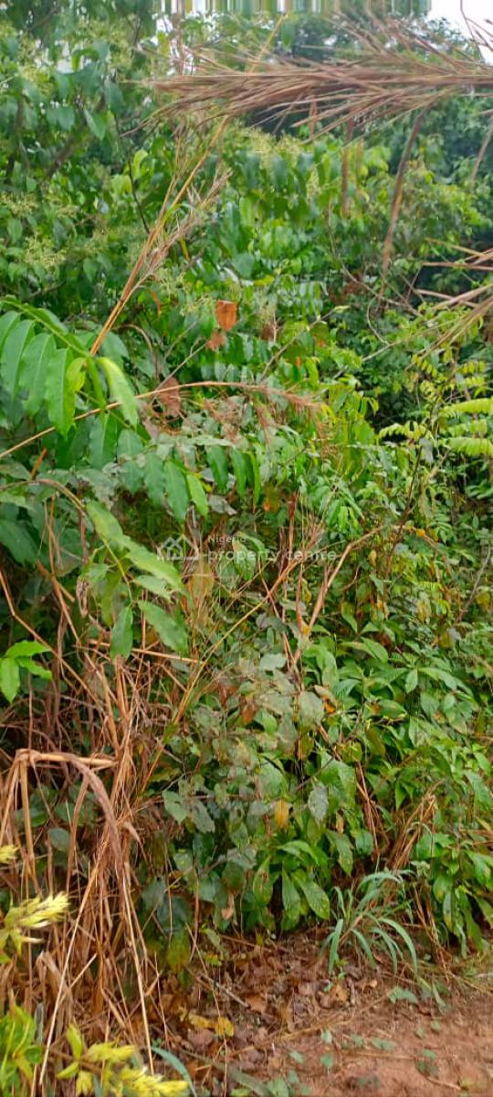 40 Plots of Dry Land Available, Irete, Owerri West, Imo, Land for Sale