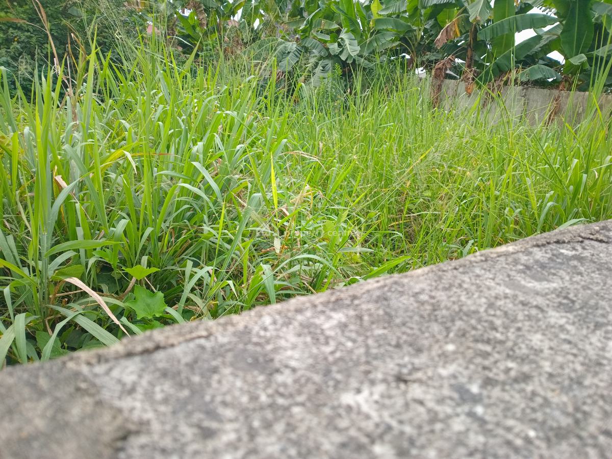 Welll Located Two (2) Plots of Table Dry Land, Old Gra, Port Harcourt, Rivers, Mixed-use Land for Sale