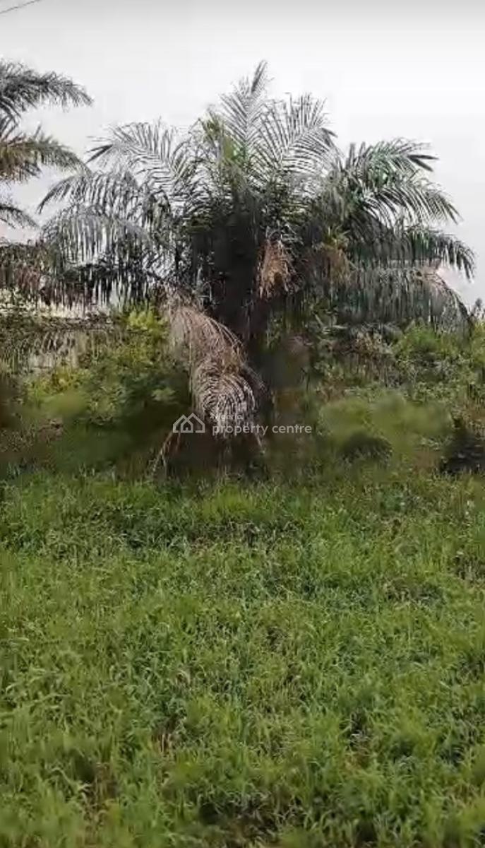 Full Plot of Land in a Developed Area, Abijo, Lekki, Lagos, Mixed-use Land for Sale